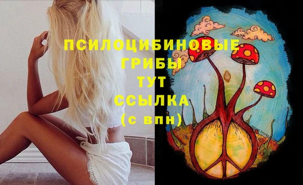 молекула духа Бугульма