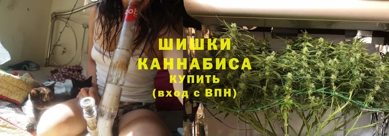 MEGA маркетплейс  Ялуторовск  Шишки марихуана OG Kush 